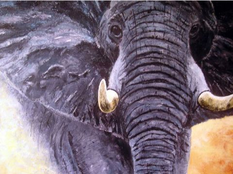elephant